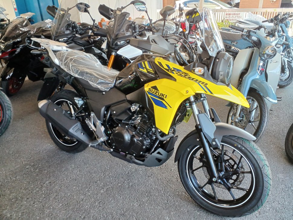 V-Strom250 イエロー 2023 (1)